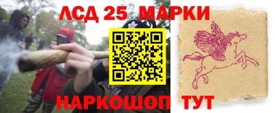 мдпв Аргун