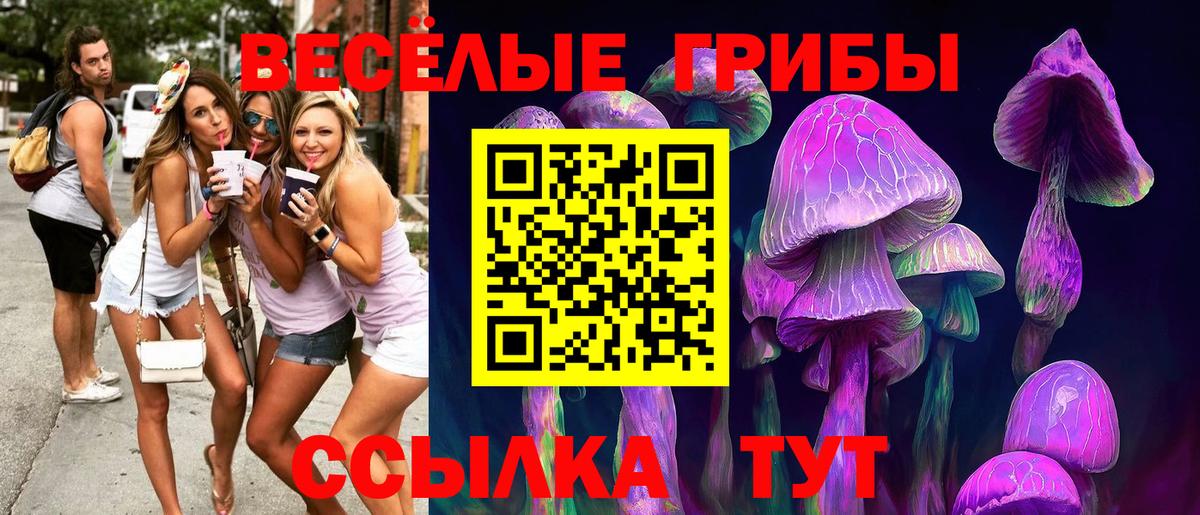 Галлюциногенные грибы Magic Shrooms Бугульма