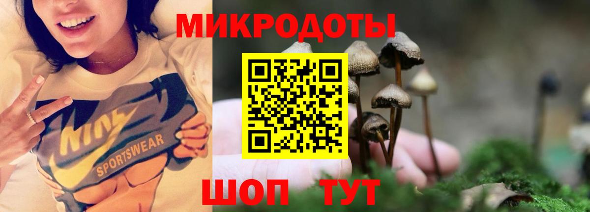 Псилоцибиновые грибы мухоморы  Псилоцибиновые грибы прущие грибы  Вход с VPN  Бугульма 